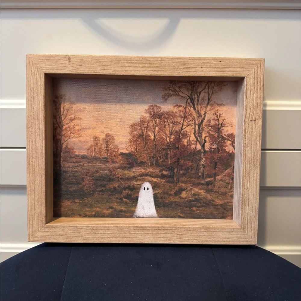 TJMaxx HomeGoods Ghost Framed Picture